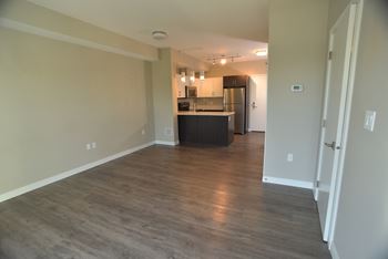 Centro Residential rental apartments Laminate vinyl flooring